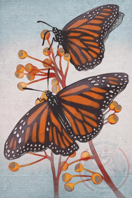 Monarch Butterfly. Game: Fluttering Souls 